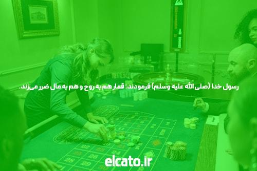 تینیبت سایت شرط بندی مطمئن و باکیفیت