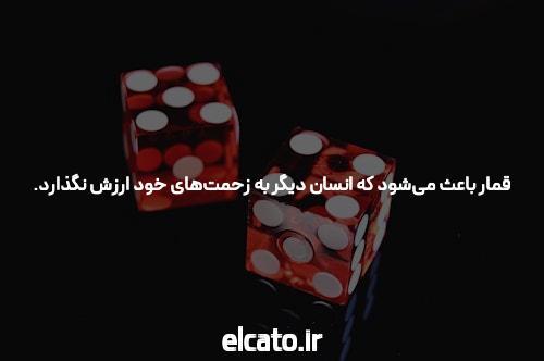معرفی دنس بت ورود به سایت شرط بندی معتبر