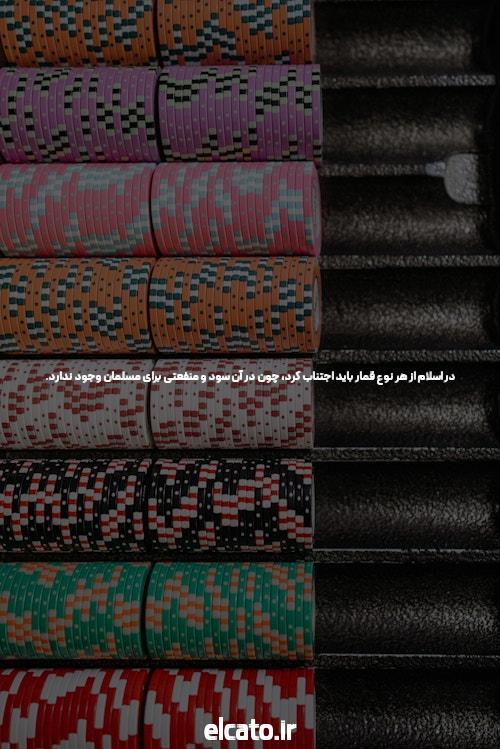 گربه‌ها، نوازان و سایت شرط بندی شادمهر