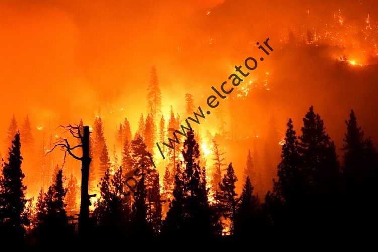 ف معمای شهاب سنگهای ویرانگر در حجاریهای هزار ساله!