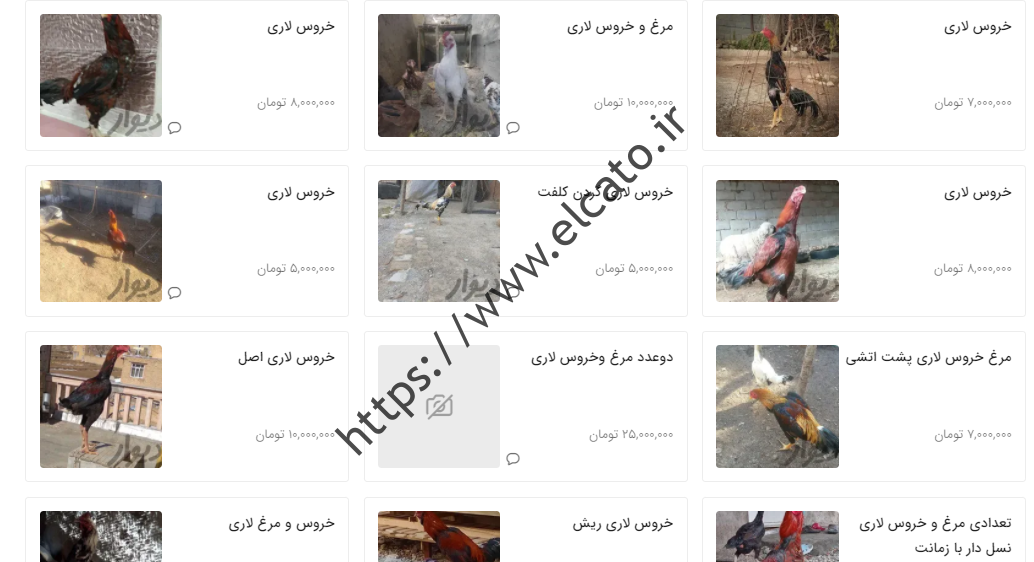 قیمت های عجیب برای مرغ و ررس لاری!