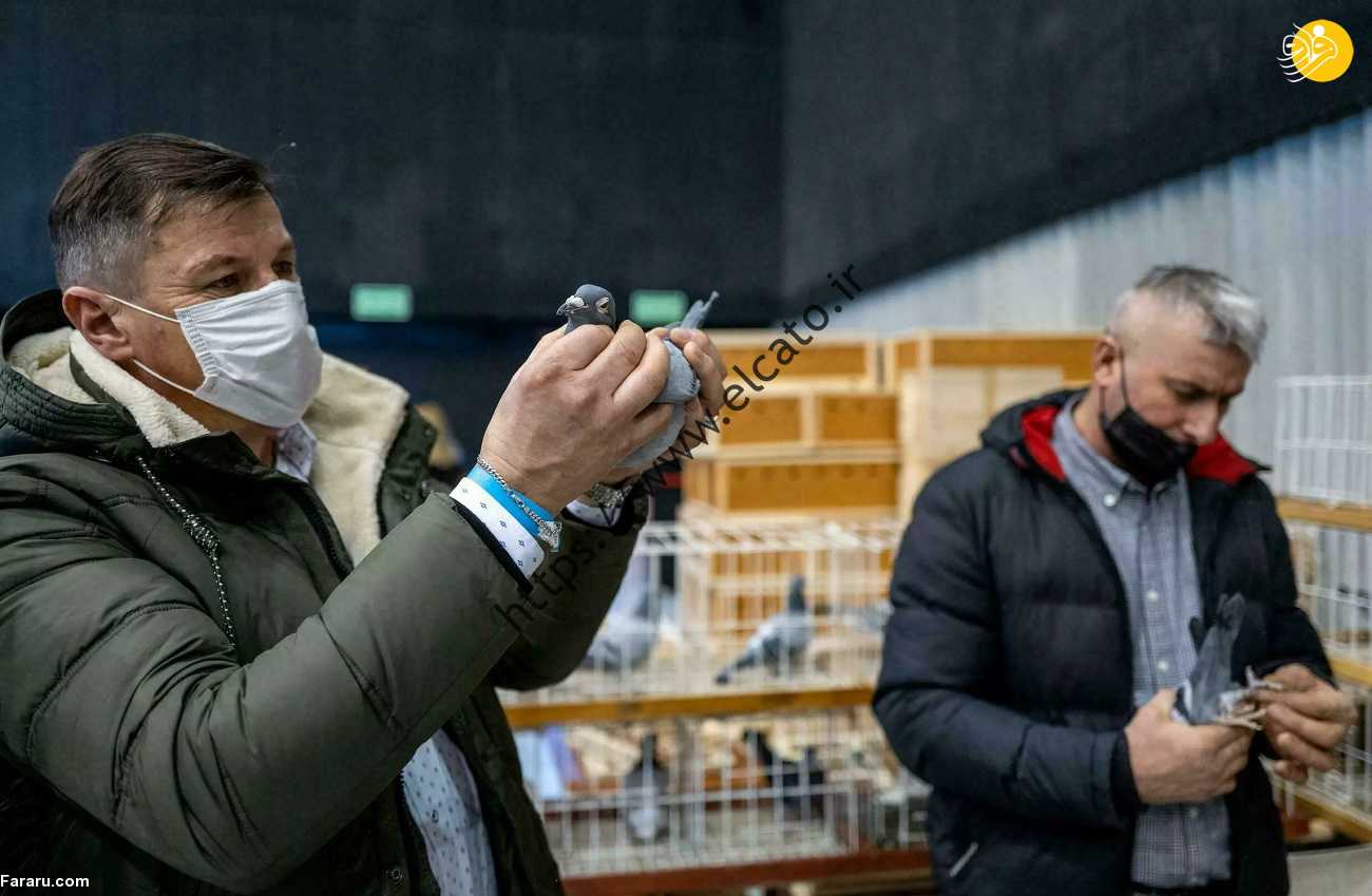 (ویدئو) (ویدئو)
