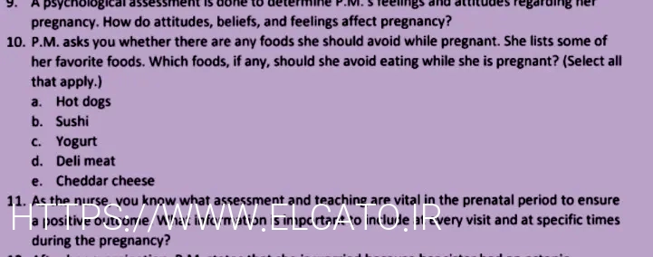 What do animals eat