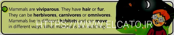 What do animals eat