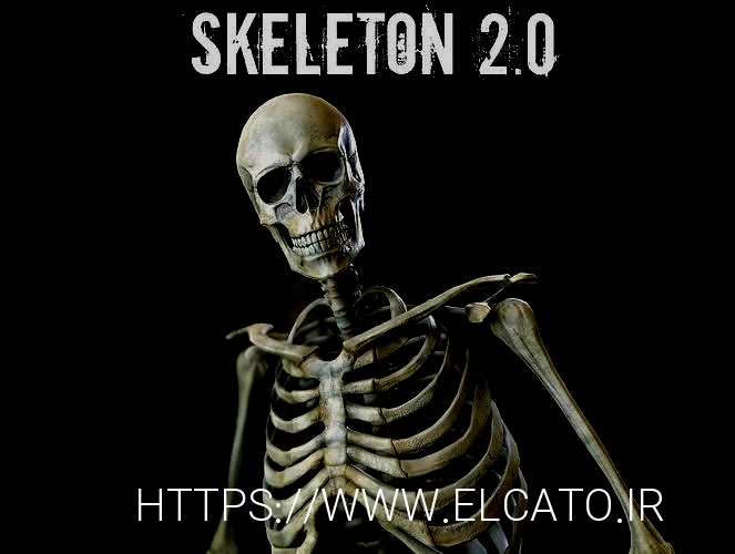 Skeleton 2 human